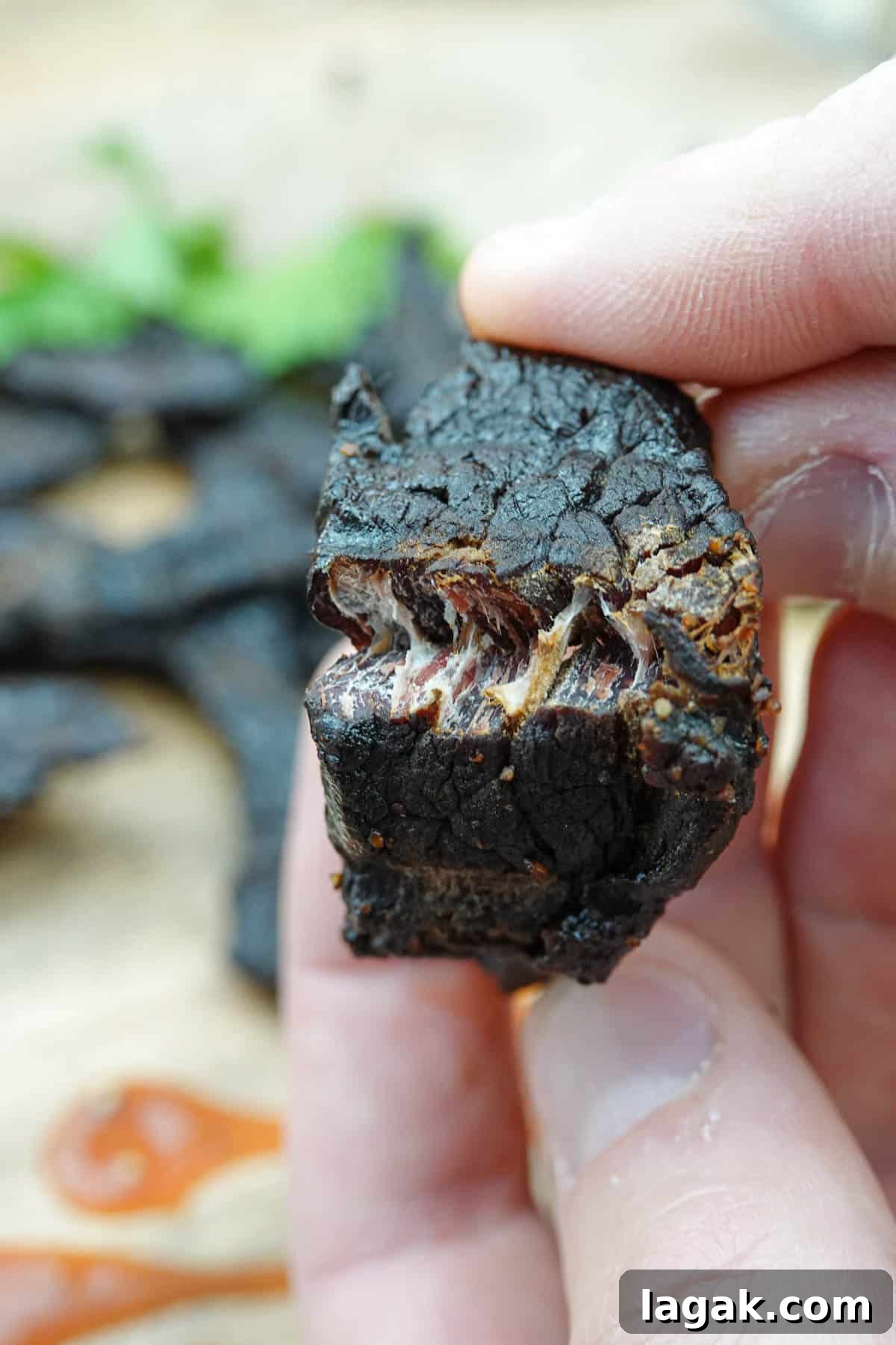 Beef jerky bent in half