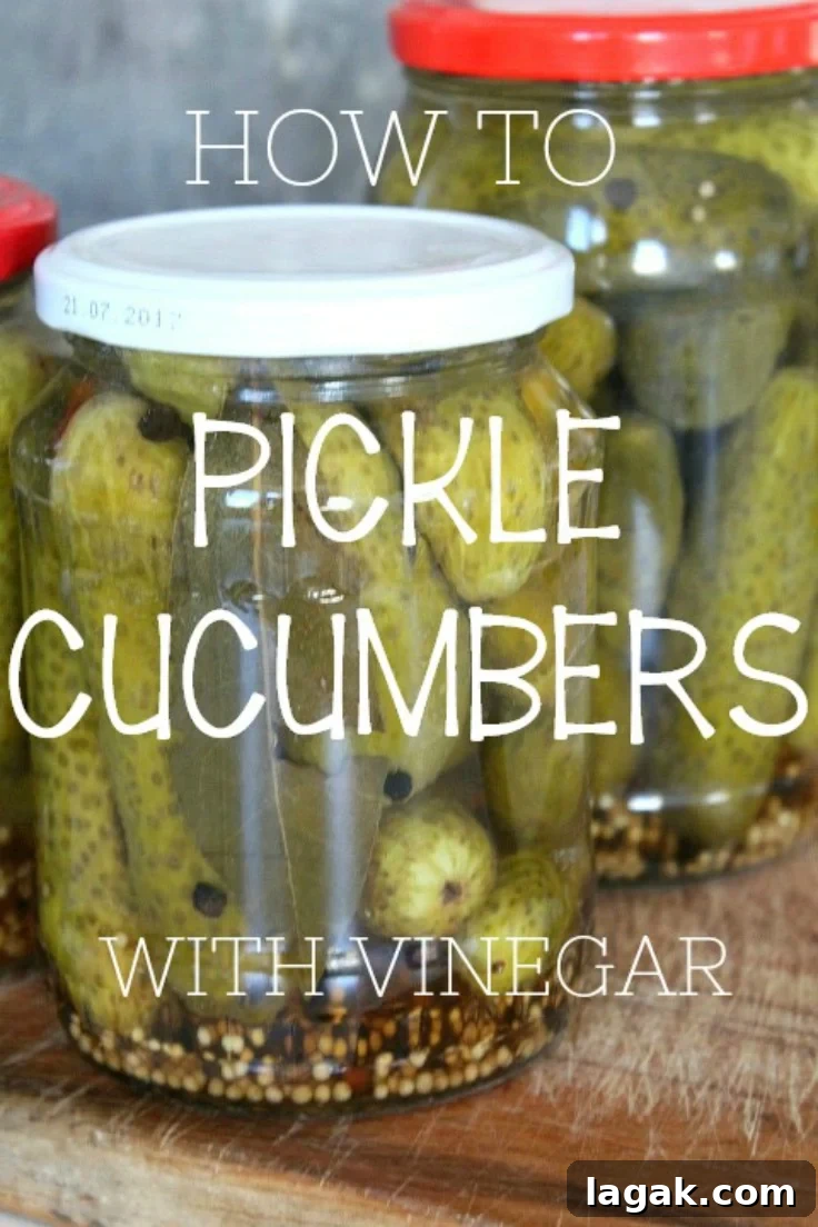 Pickled cucumbers are great to serve next to a steak, a stew or in burgers. Learn how to pickle cucumbers at home with this very easy, family recipe. how to pickle cucumbers
