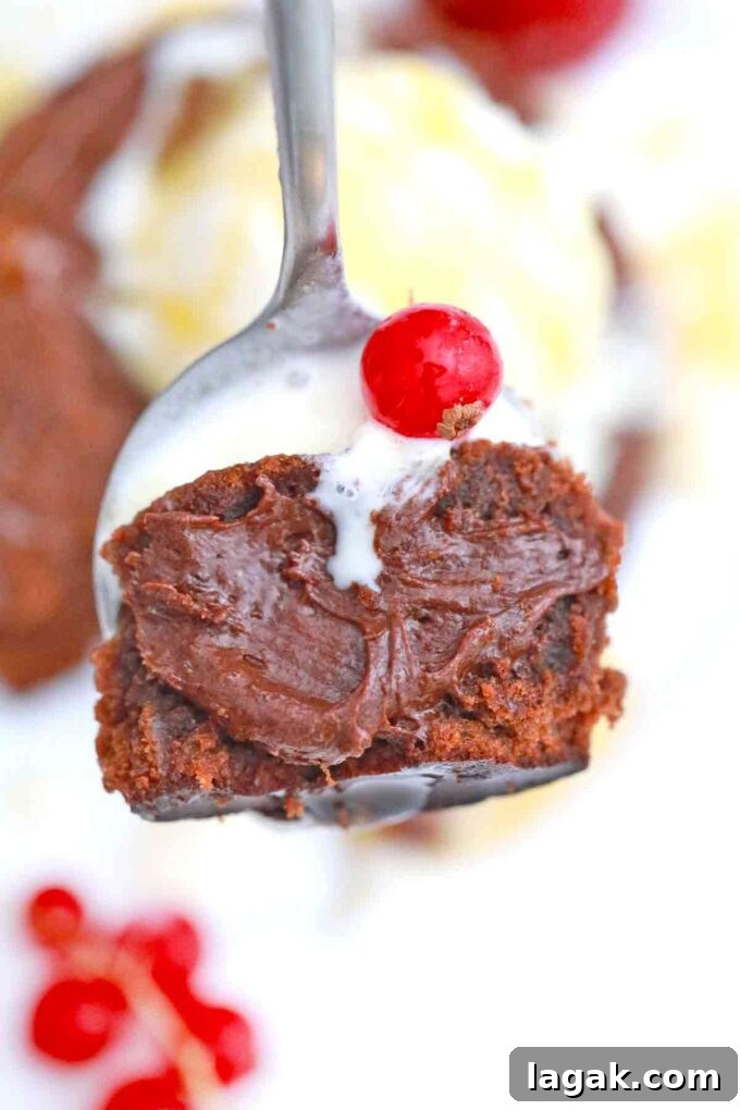 Air Fryer Molten Chocolate Cakes: 4 Delicious Variations 6 spoonful of a very moist chocolate cake