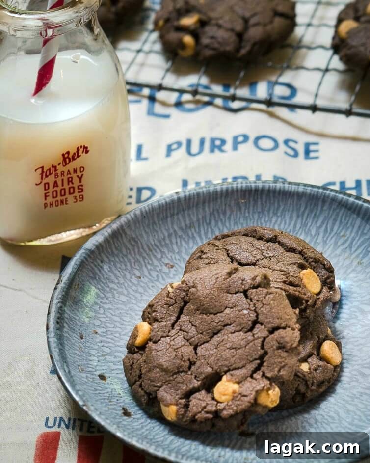 No-Chill Dark Chocolate Peanut Butter Cookie Recipe 2 Three Chocolate Peanut Butter Chip cookies sitting on a blue enamelware plate. A jar of milk sits next to the plate and a cooling rack filled with cookies sits in the background.
