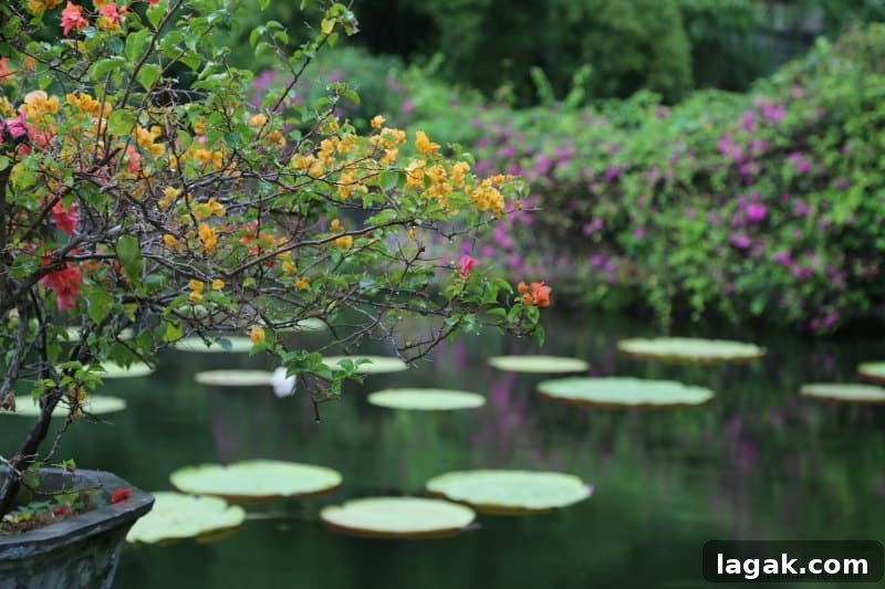colorful plant over a lily pad filled pond