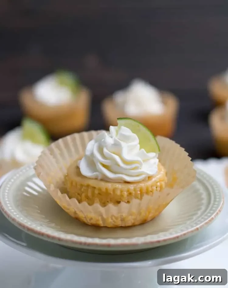 Final mini key lime pies ready to serve
