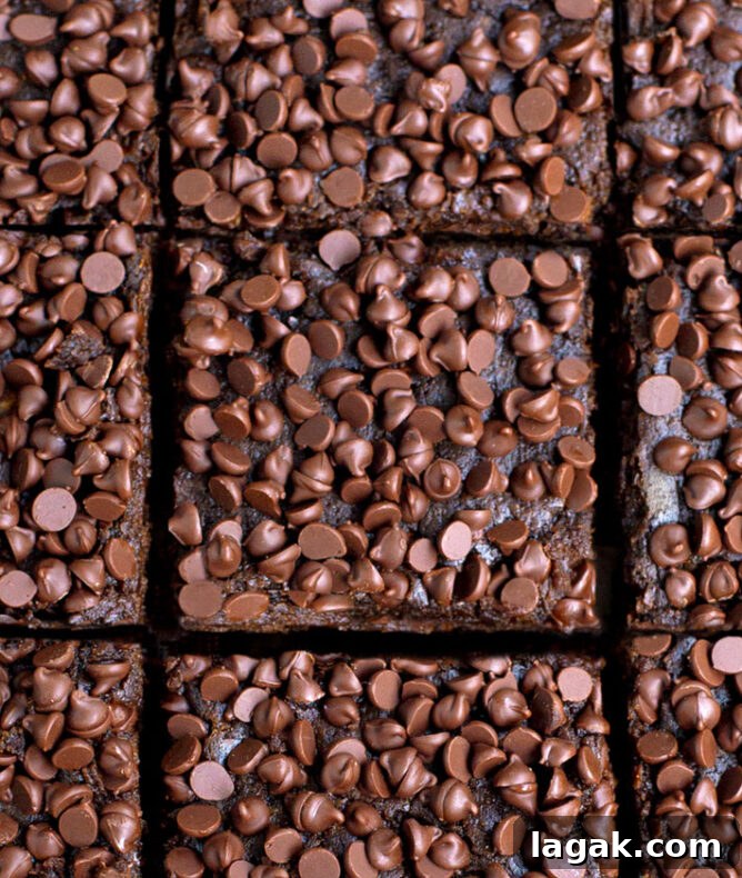 Healthy Sugar Free Brownies