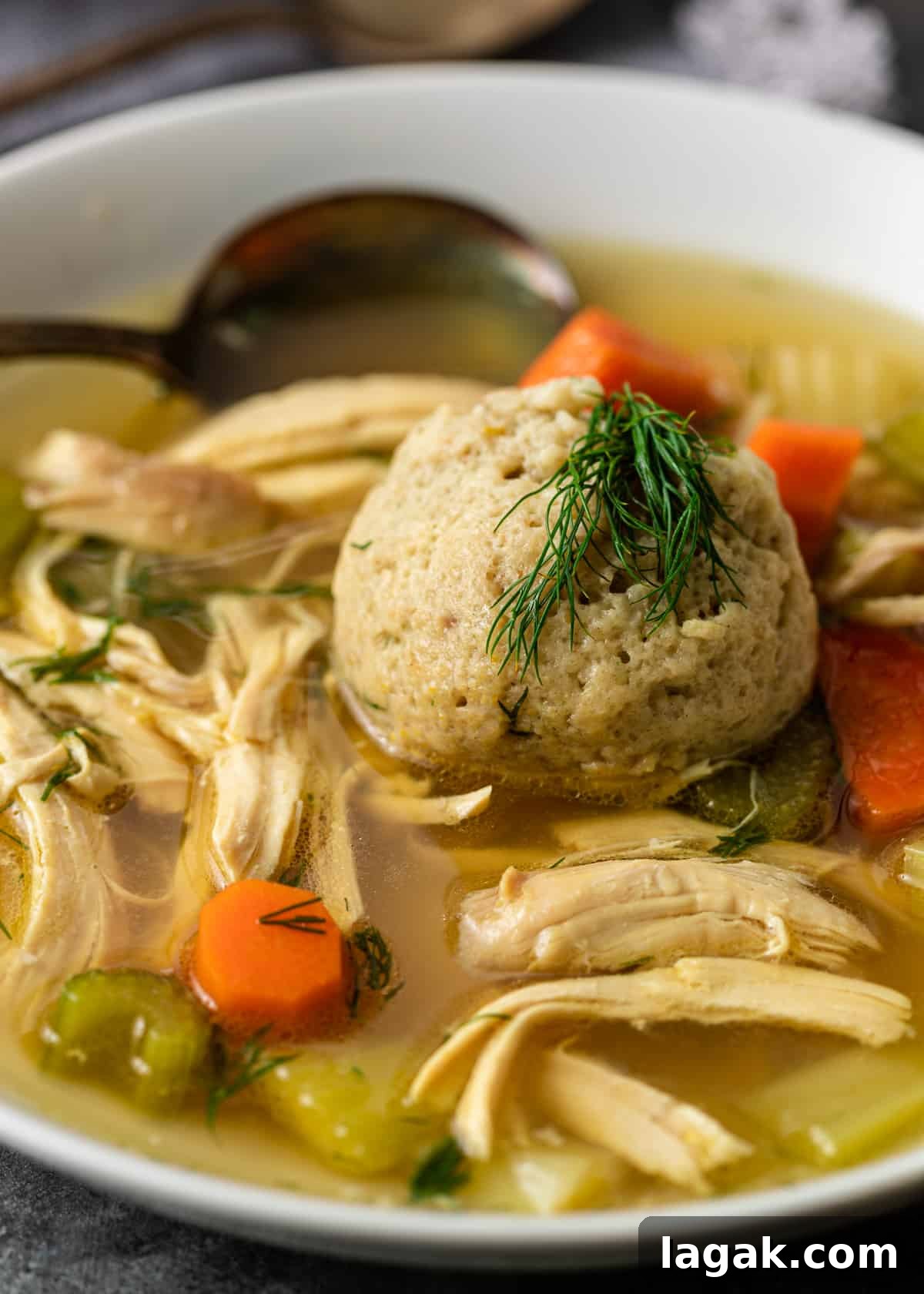 closeup side view: white bowl of Jewish penicillin with spoon