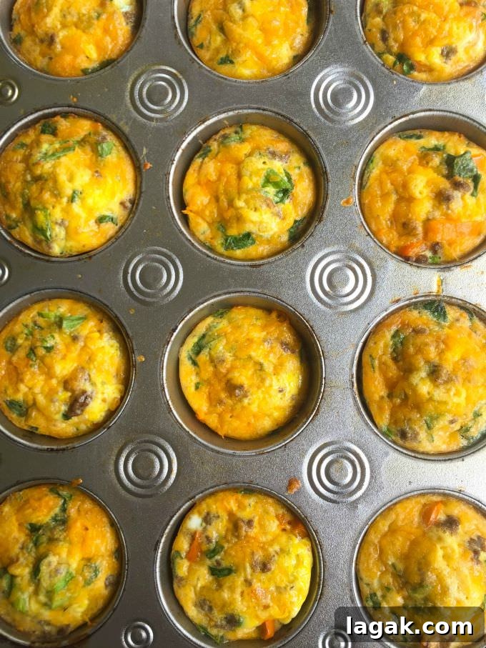 Southwest Taco Egg Muffins
