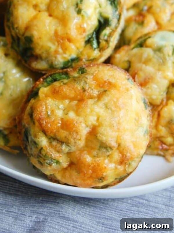 Breakfast Egg Muffins 1200 x 1200