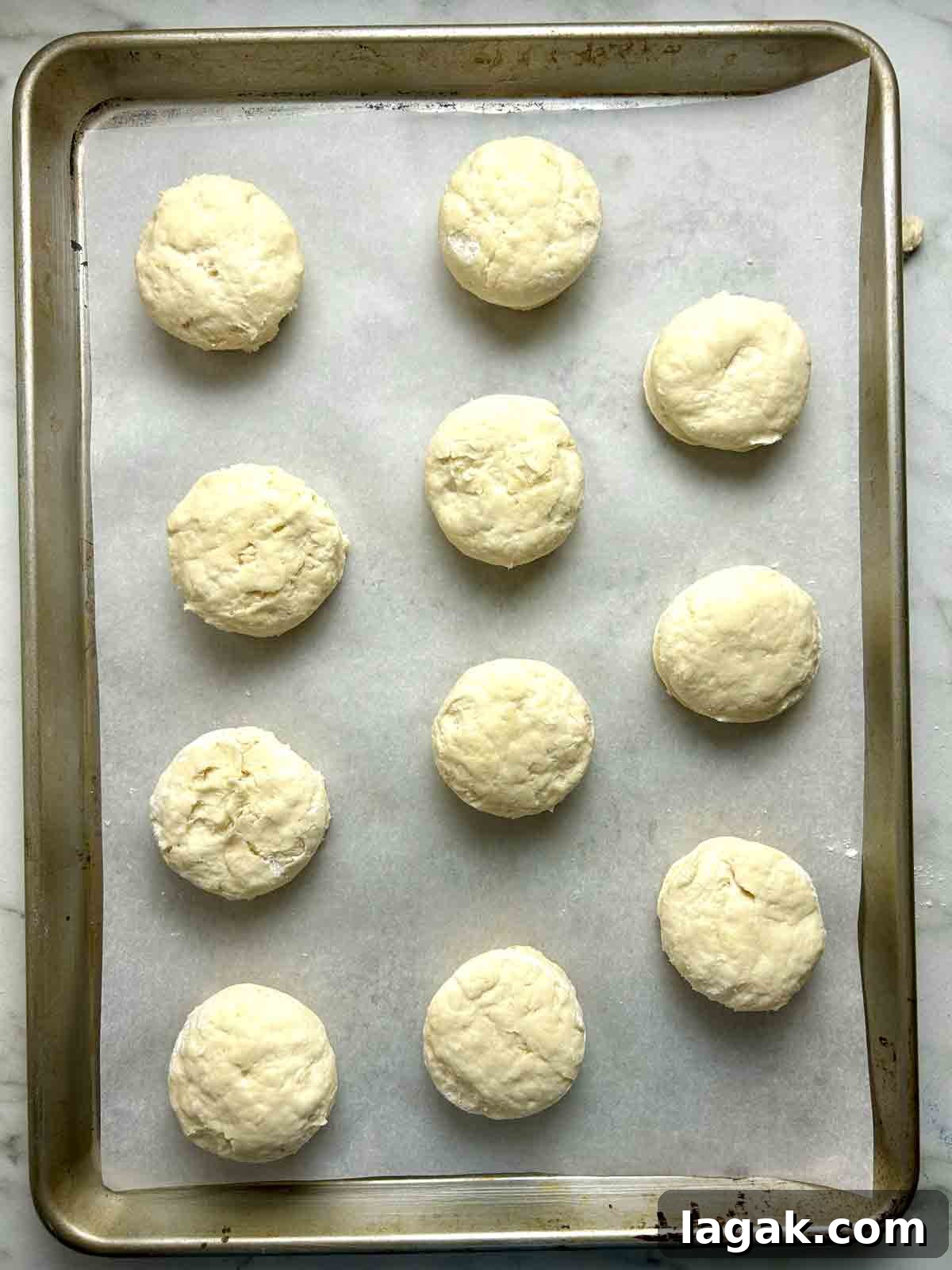 rounds of dough arranged in parchment-lined baking sheet.