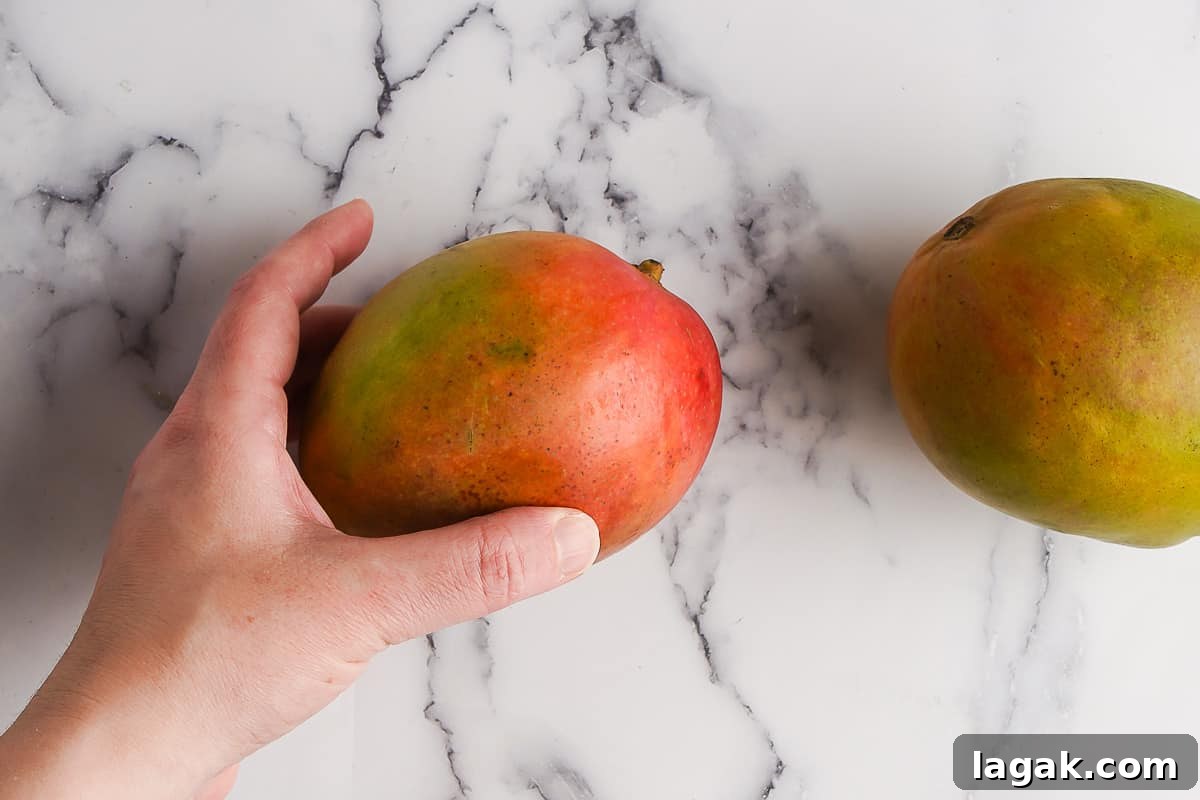 Hand holding a mango with another mango on the side