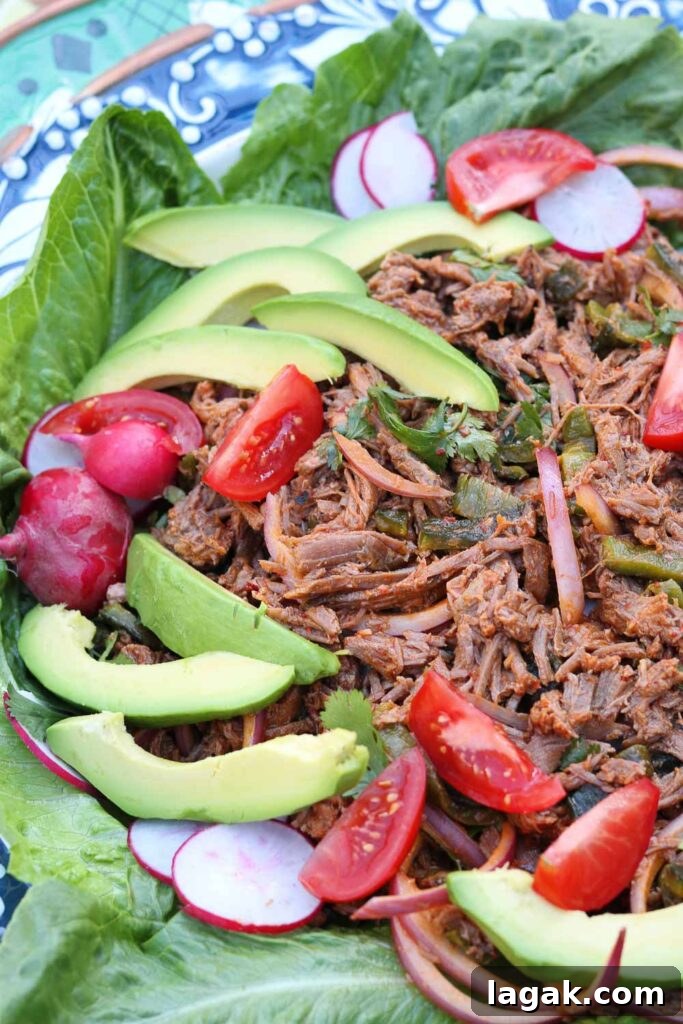 Salpicon de Res on large bowl with romaine lettuces leaves, avocado and radishes