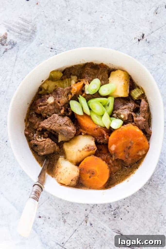 A bowl of Instant Pot Beef Stew