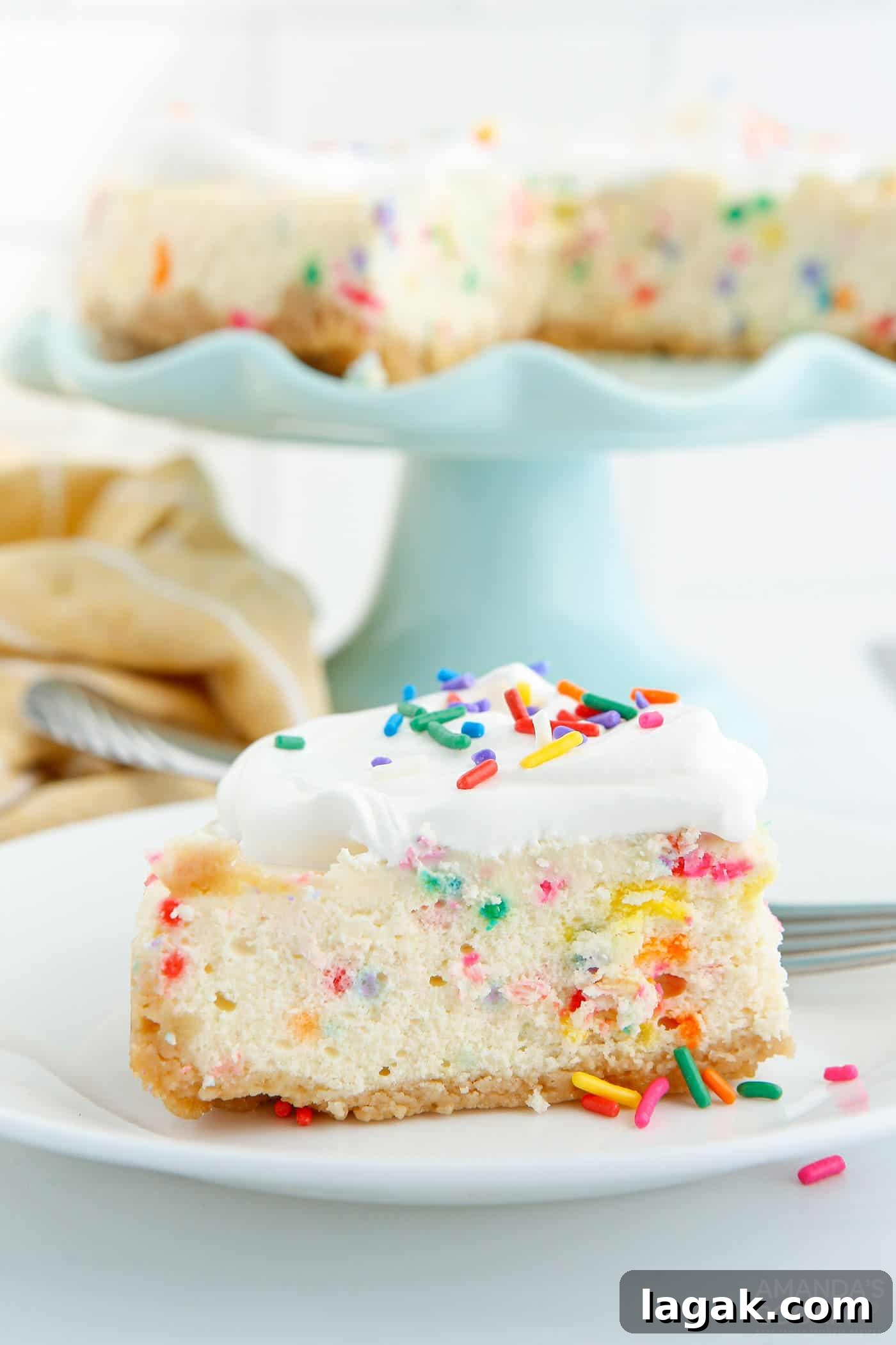slice of funfetti cheesecake placed on a white plate