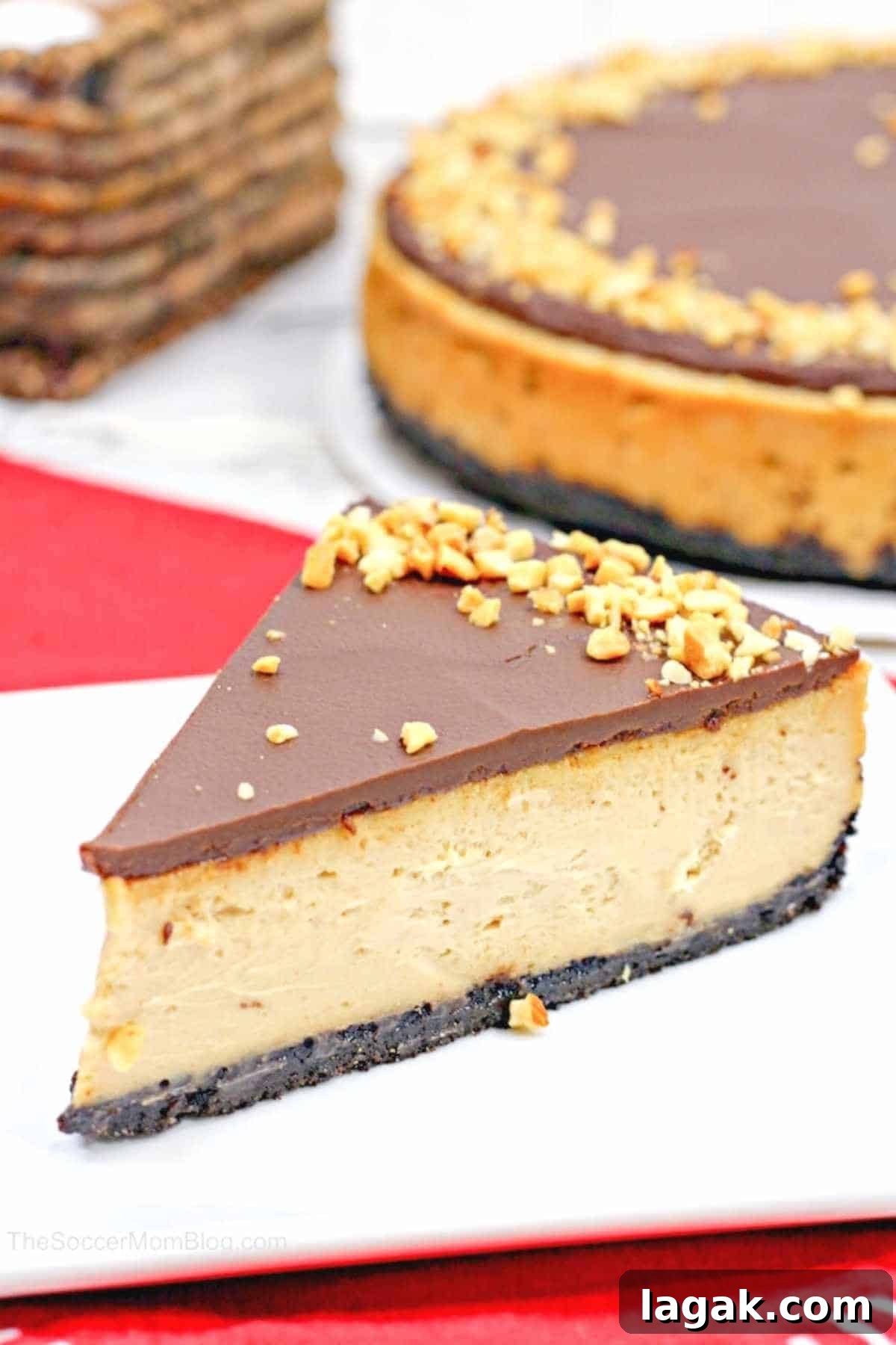slice of peanut butter cheesecake