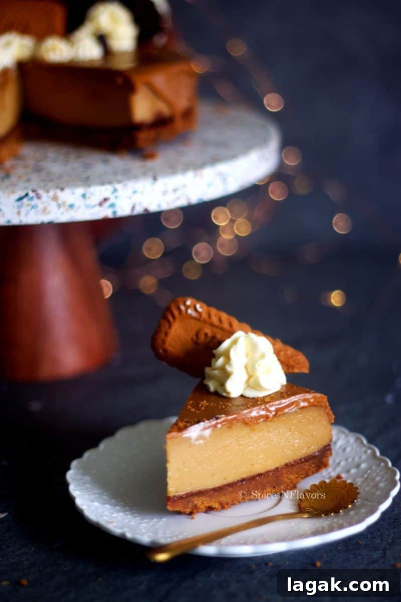eggless biscoff cheesecake placed on a white plate