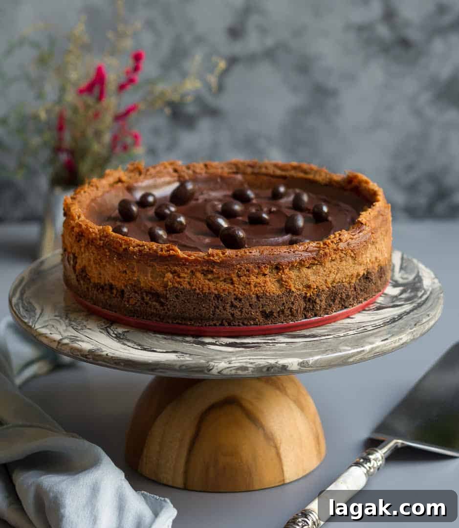 espresso cheesecake placed on a cake stand